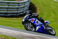PJ-Motorsport-2019;anglesey;brands-hatch;cadwell-park;croft;donington-park;enduro-digital-images;event-digital-images;eventdigitalimages;mallory;no-limits;oulton-park;peter-wileman-photography;racing-digital-images;silverstone;snetterton;trackday-digital-images;trackday-photos;vmcc-banbury-run;welsh-2-day-enduro